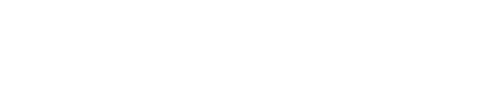 The Law Office of Mark Anthony Raimondo, PC