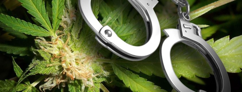 Expunging a Marijuana Conviction in Bakersfield CA